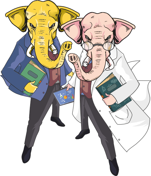 TAMS Elephants